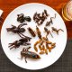 Fried tarantula, crickets, frogs and beetles - Cambodian Food