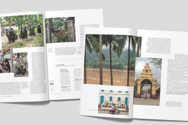 Laos and Cambodia Bears | Qantas Magazine Editorial