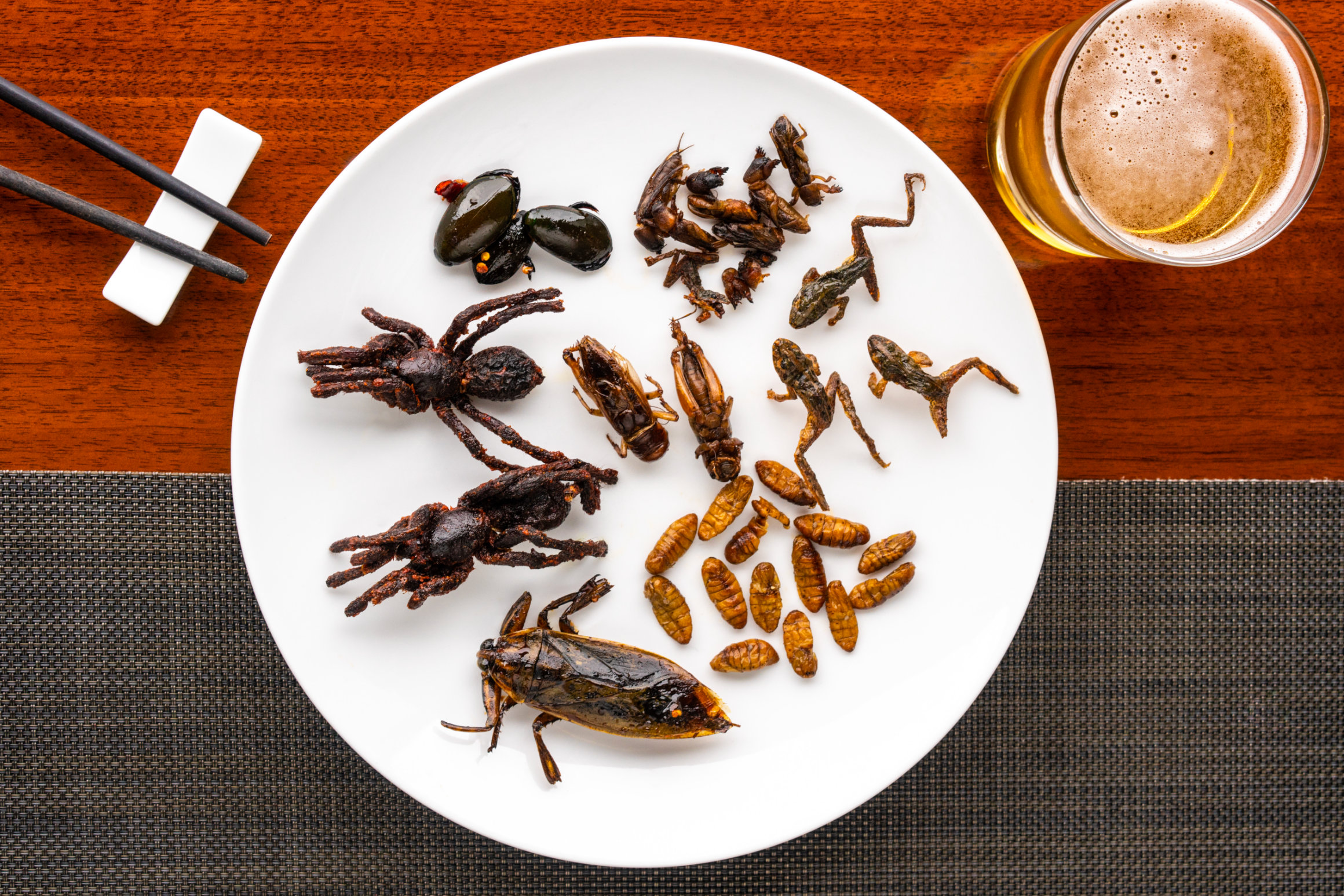Fried tarantula, crickets, frogs and beetles - Cambodian Food