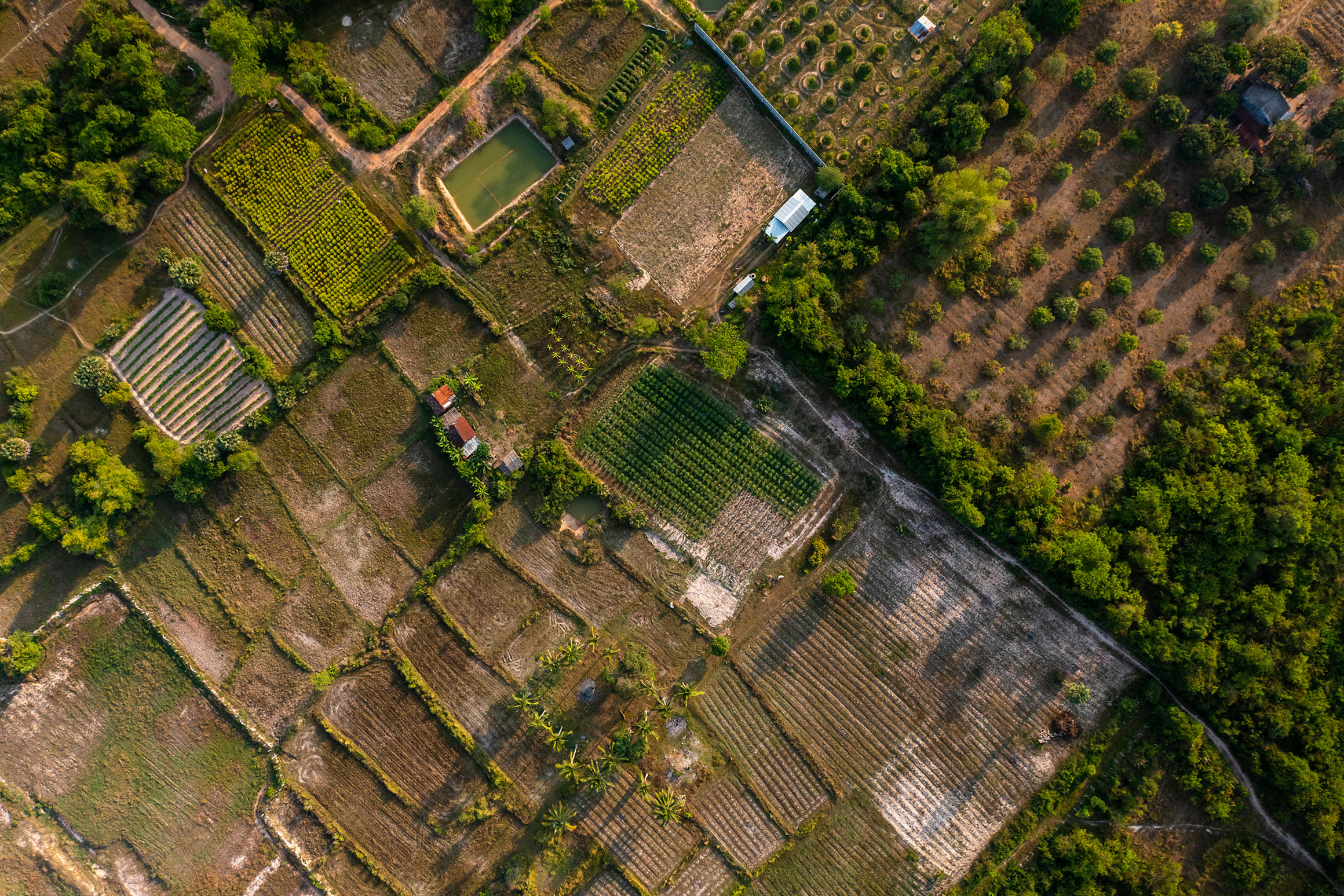 Kampot Agriculture | Drone Aerial Photographer in Cambodia